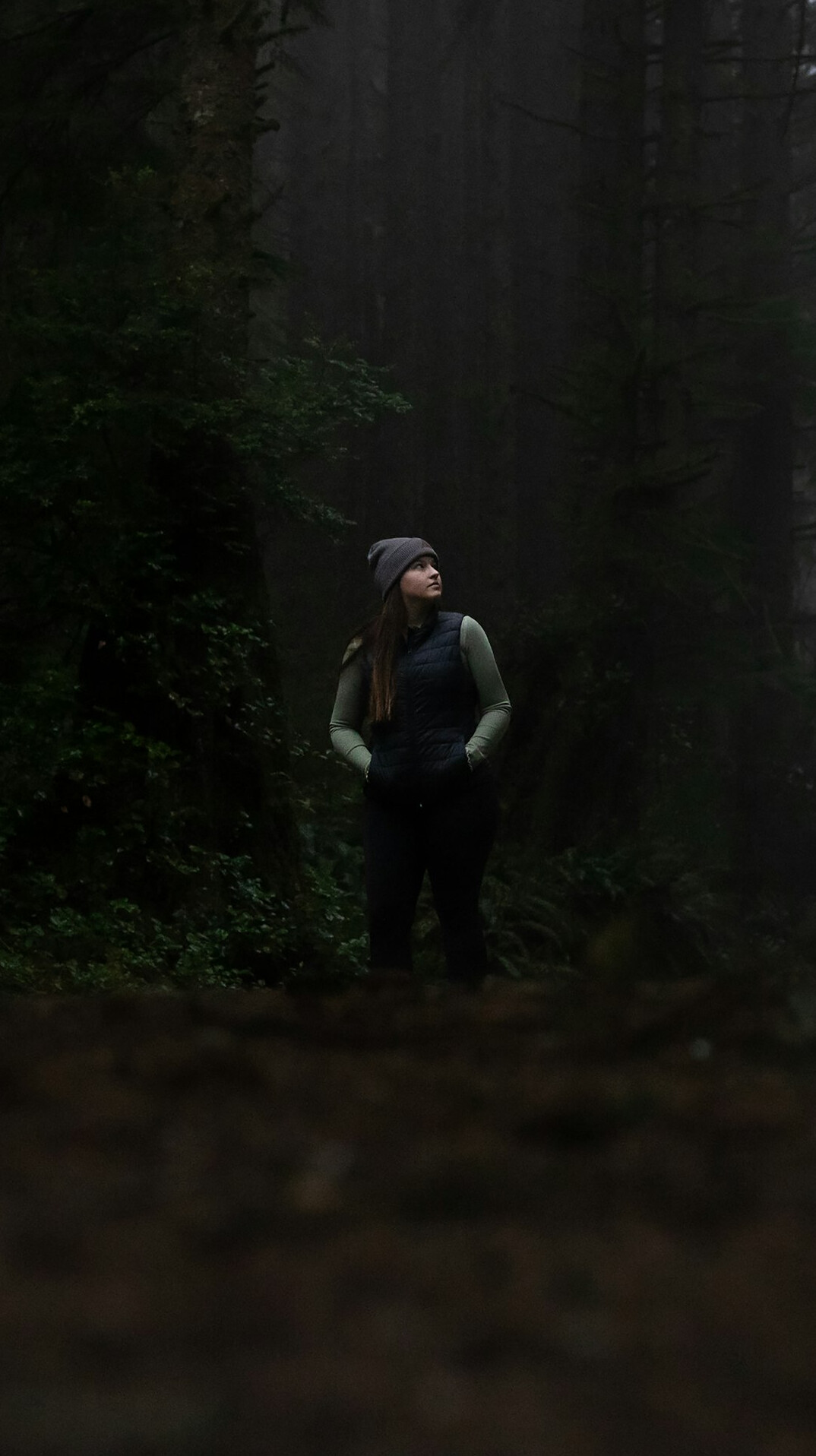 person walking in forest